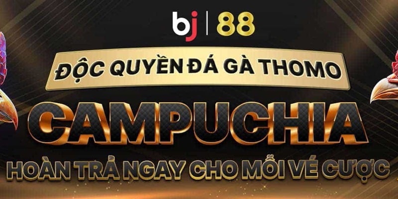 Các cách soi kèo đá gà hiệu quả tại BJ88